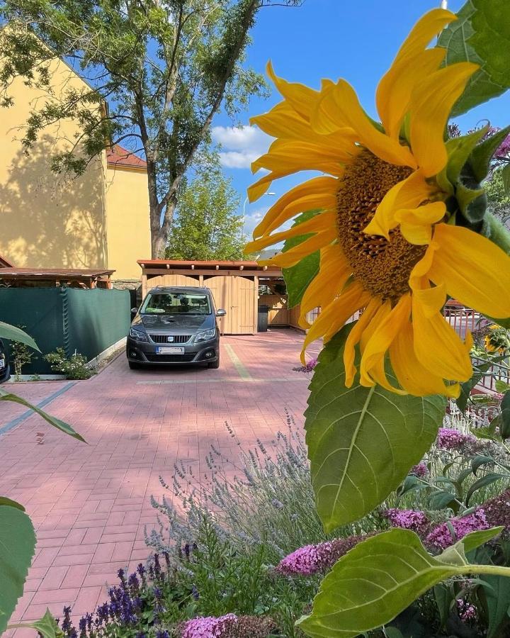 Apartmany Basta & Wellness Sušice Buitenkant foto
