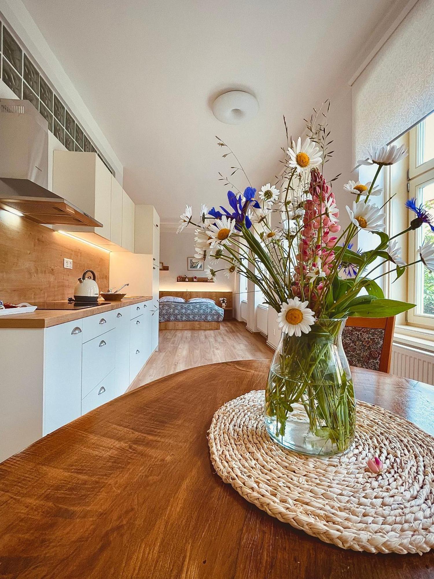 Apartmany Basta & Wellness Sušice Buitenkant foto