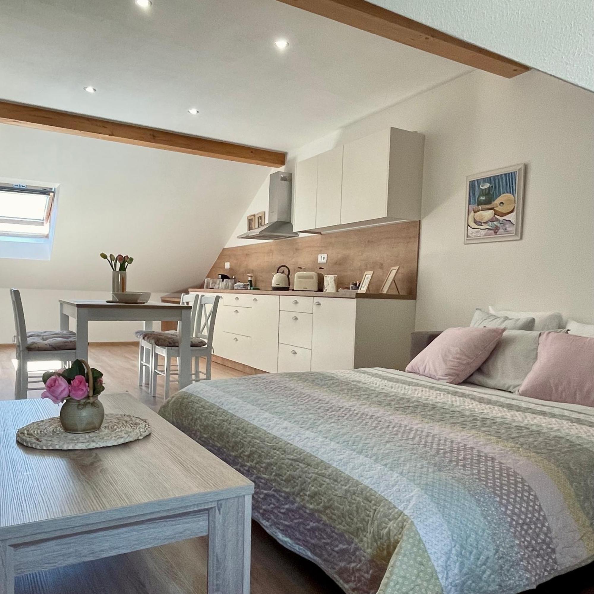 Apartmany Basta & Wellness Sušice Buitenkant foto