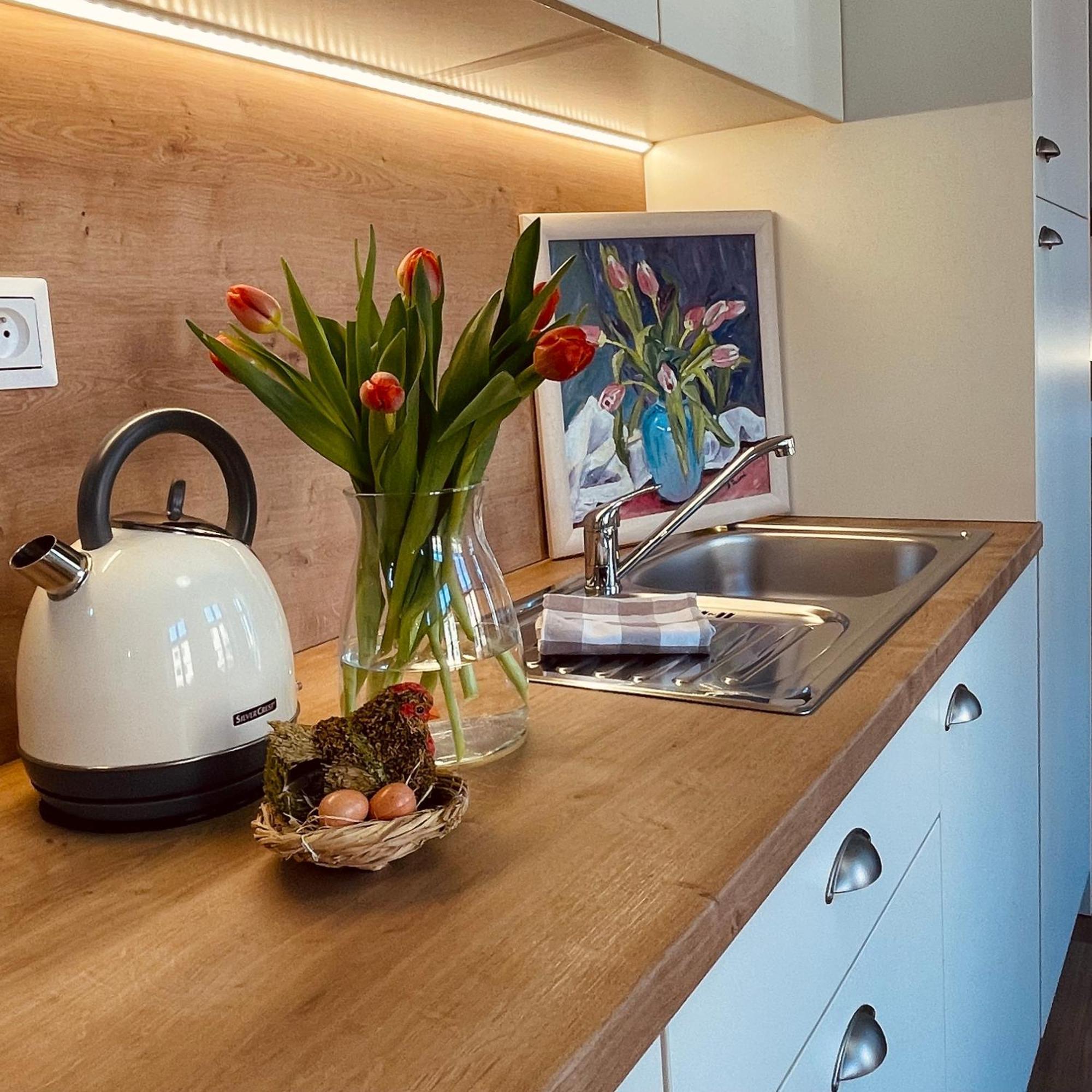 Apartmany Basta & Wellness Sušice Buitenkant foto